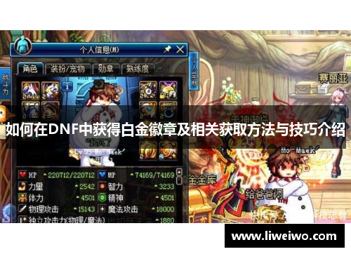 如何在DNF中获得白金徽章及相关获取方法与技巧介绍